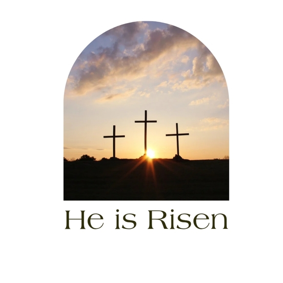 sale - Picture 5 of 16